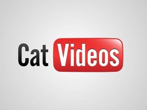 cat-video-youtube-logo
